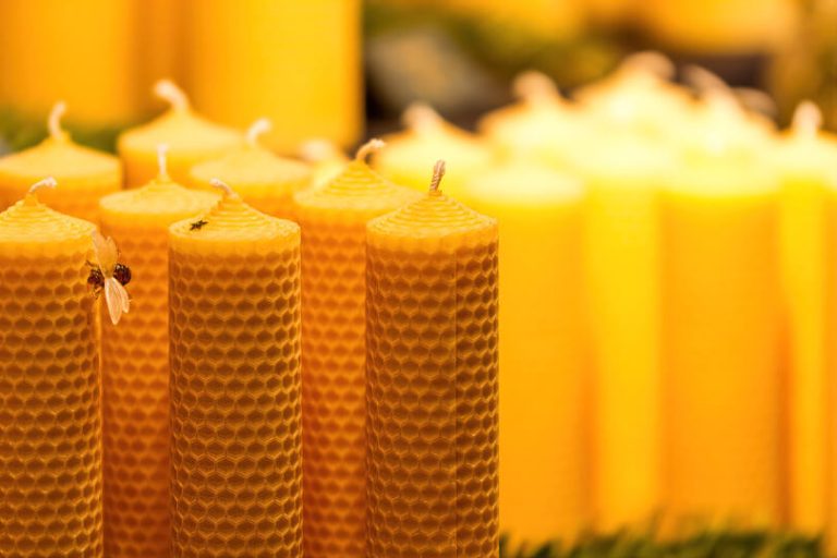 Beeswax Candles