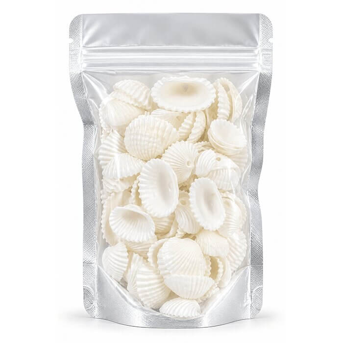 Sea Shells